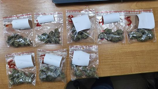 33-letni mielczanin odpowie za posiadanie narkotyków