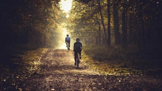 Aż cztery rajdy rowerowe w najbliższą niedzielę!