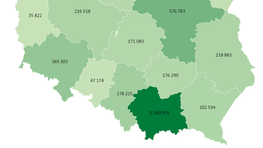 Bon turystyczny to już historia. Ile pieniędzy zostawiono na Podkarpaciu?