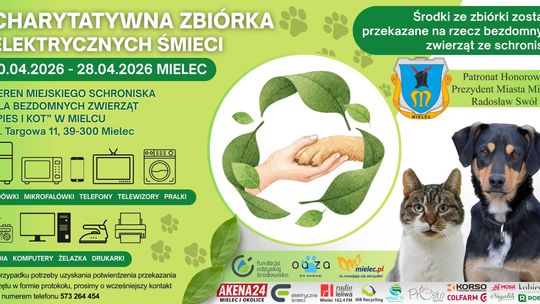 Charytatywna zbiórka elektrycznych śmieci w schronisku przedłużona