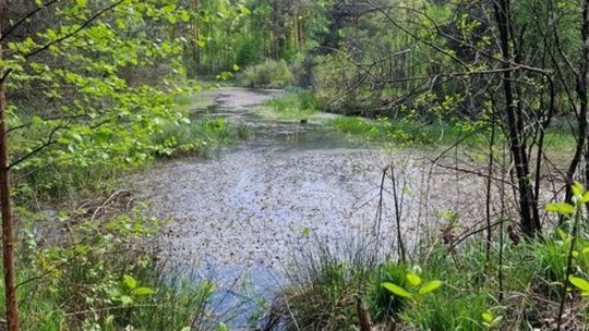 Dwa questy rowerowe powstaną bezpłatnie w powiecie mieleckim!