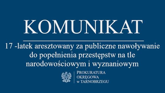 17 -latek aresztowany za publiczne nawoływanie do popełnienia przestępstw na tle narodowościowym i wyznaniowym
