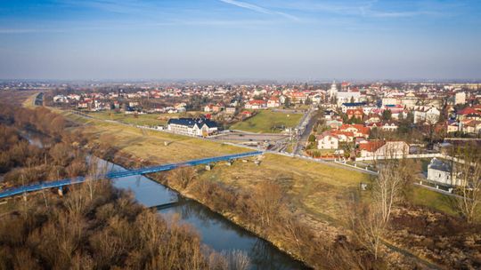 Mielec. Opryski przeciwko dzikom wzdłuż Wisłoki