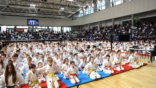 Mielec stolicą karate i kultury Japonii Mielec stolicą karate i kultury Japonii