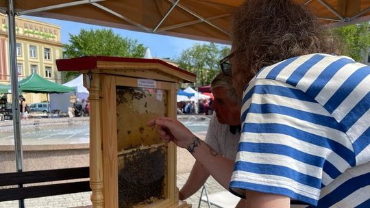 Mielec świętował Światowy Dzień Pszczoły