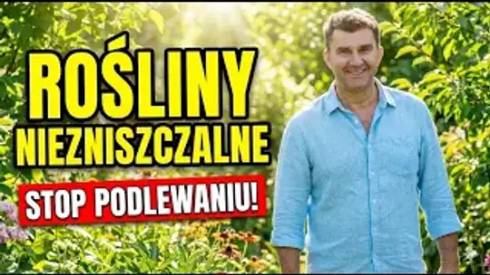 Niezniszczalne rośliny na suszę Niezniszczalne rośliny na suszę