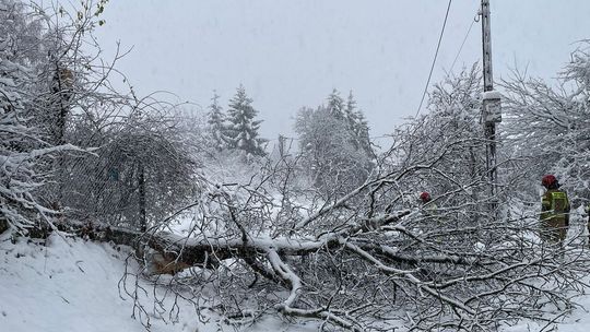 Podkarpacie bez prądu, nawet 109 tysięcy gospodarstw. Problemy na kolei, zmieniono trasę IC Wetlina