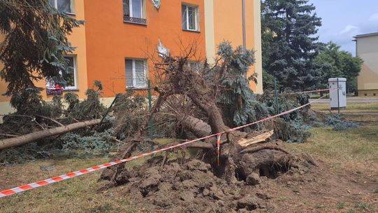 Połamane drzewa, zalane ulice. Groźna nawałnica przeszła nad Mielcem