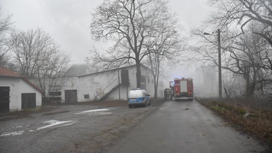 Pożar na terenie zakładu zootechniki w Chorzelowie. Jedna osoba została poszkodowana