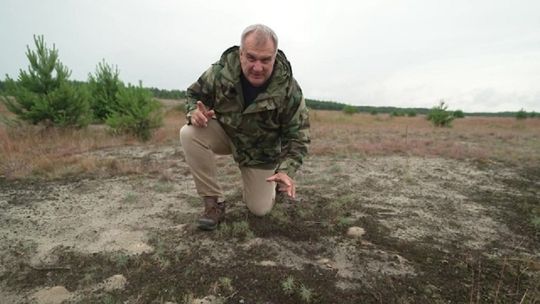 Sekretne życie na Pustyni Błędowskiej