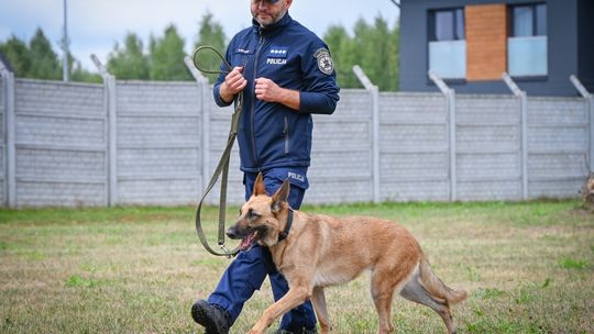 Szkolenie "czworonożnych funkcjonariuszy" z mieleckimi przewodnikami psa służbowego