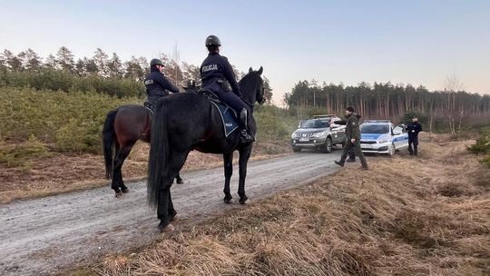 Wspólne działania służb w ramach akcji „STROISZ” – zapobieganie kradzieżom z terenów leśnych
