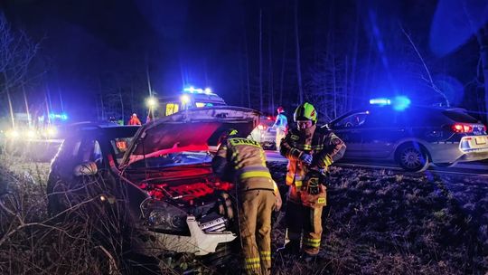 Zdarzenie drogowe na DK73 pod Szczucinem. Samochód zderzył się z dzikami