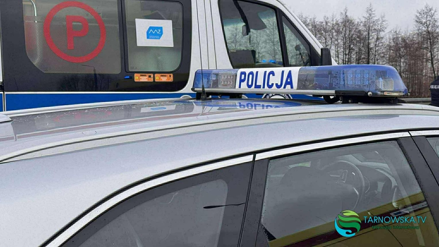 16-latek ukąszony przez żmiję lewantyńską. Surowicę trzeba było sprowadzić z Niemiec