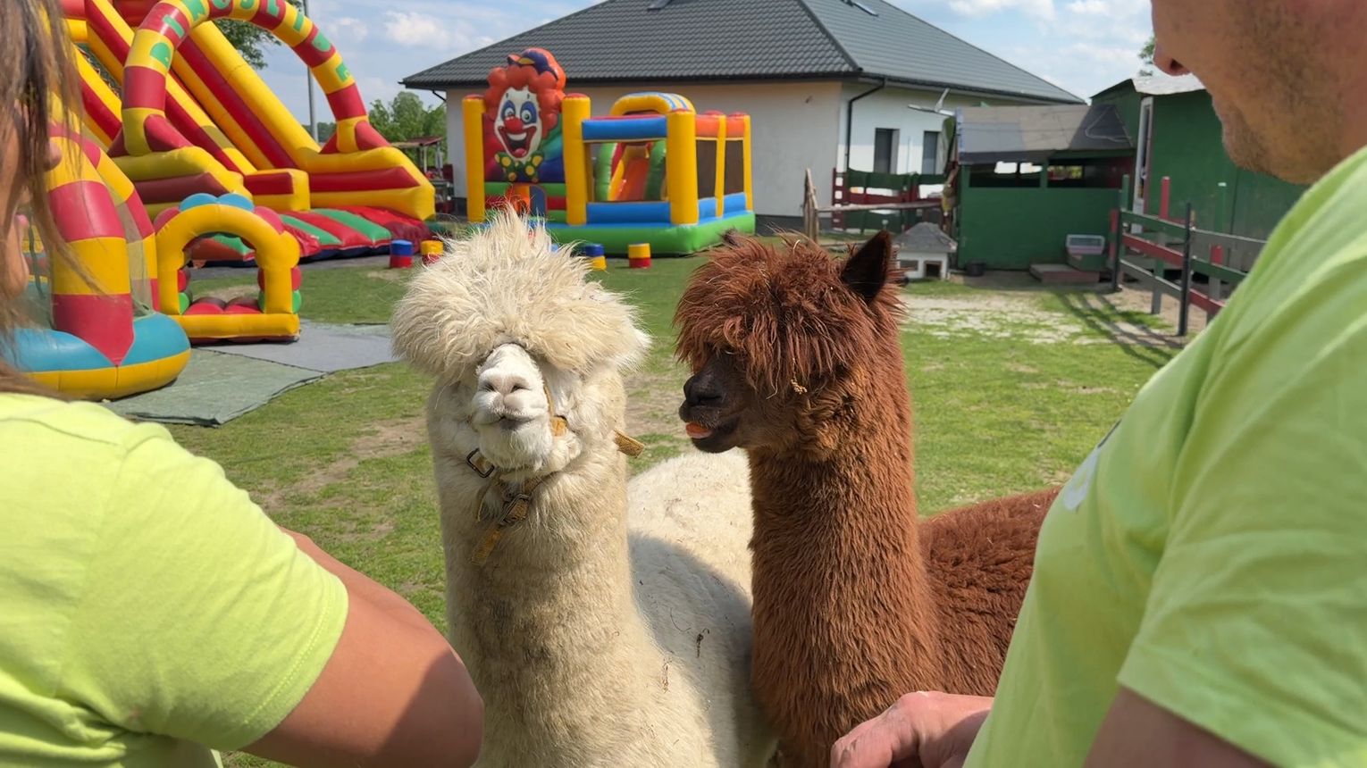 Bulilandia mini zoo zaprasza na wielką przygodę