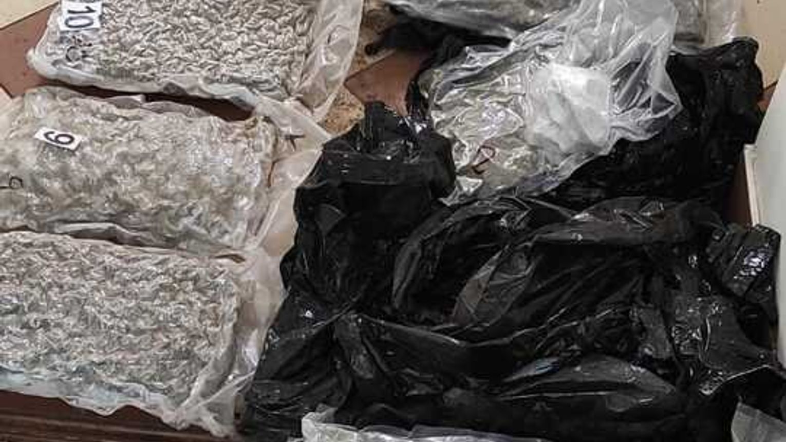 Funkcjonariusze zabezpieczyli ponad 60 kg narkotyków