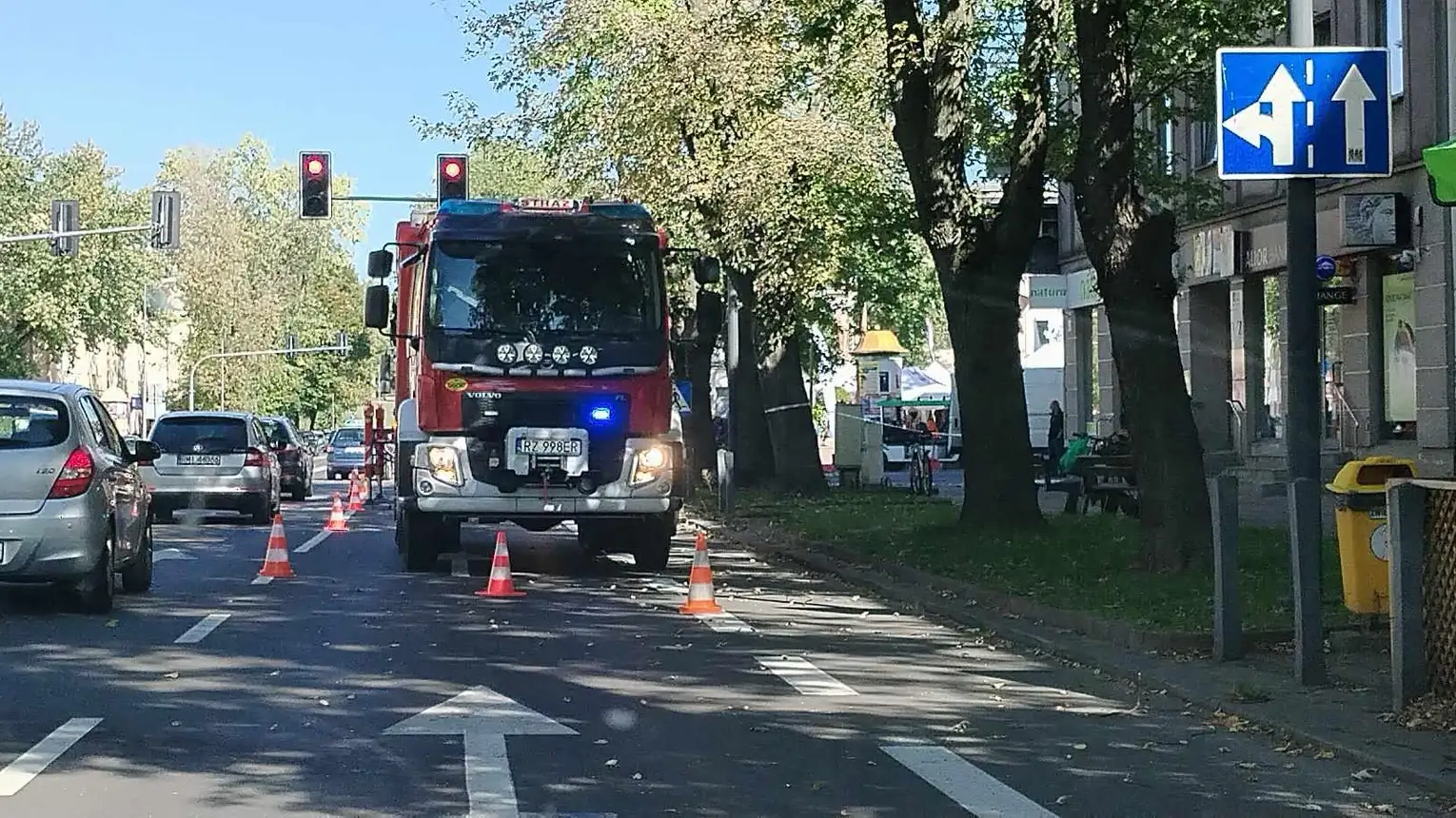 Konar drzewa spadł na przejście dla pieszych w centrum Mielca