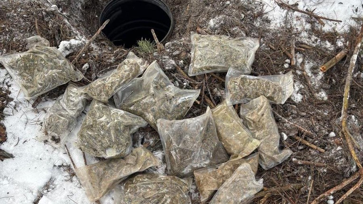 Kryminalni z Kolbuszowej zabezpieczyli blisko 3,5 kilograma narkotyków. 27-latek ukrył je w ziemnej skrytce