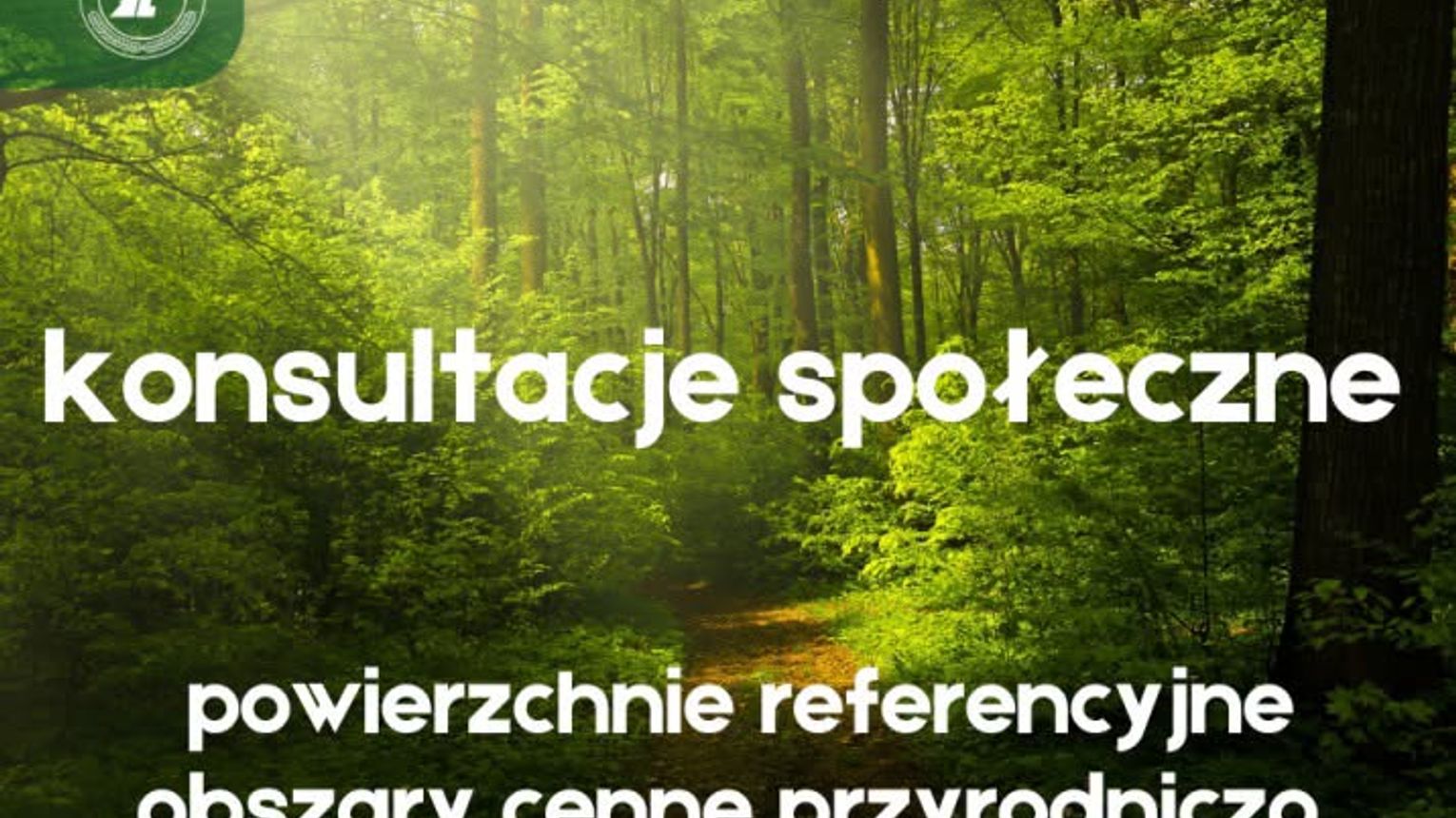 Lasy i nie tylkotematem konsultacji w nadleśnictwie