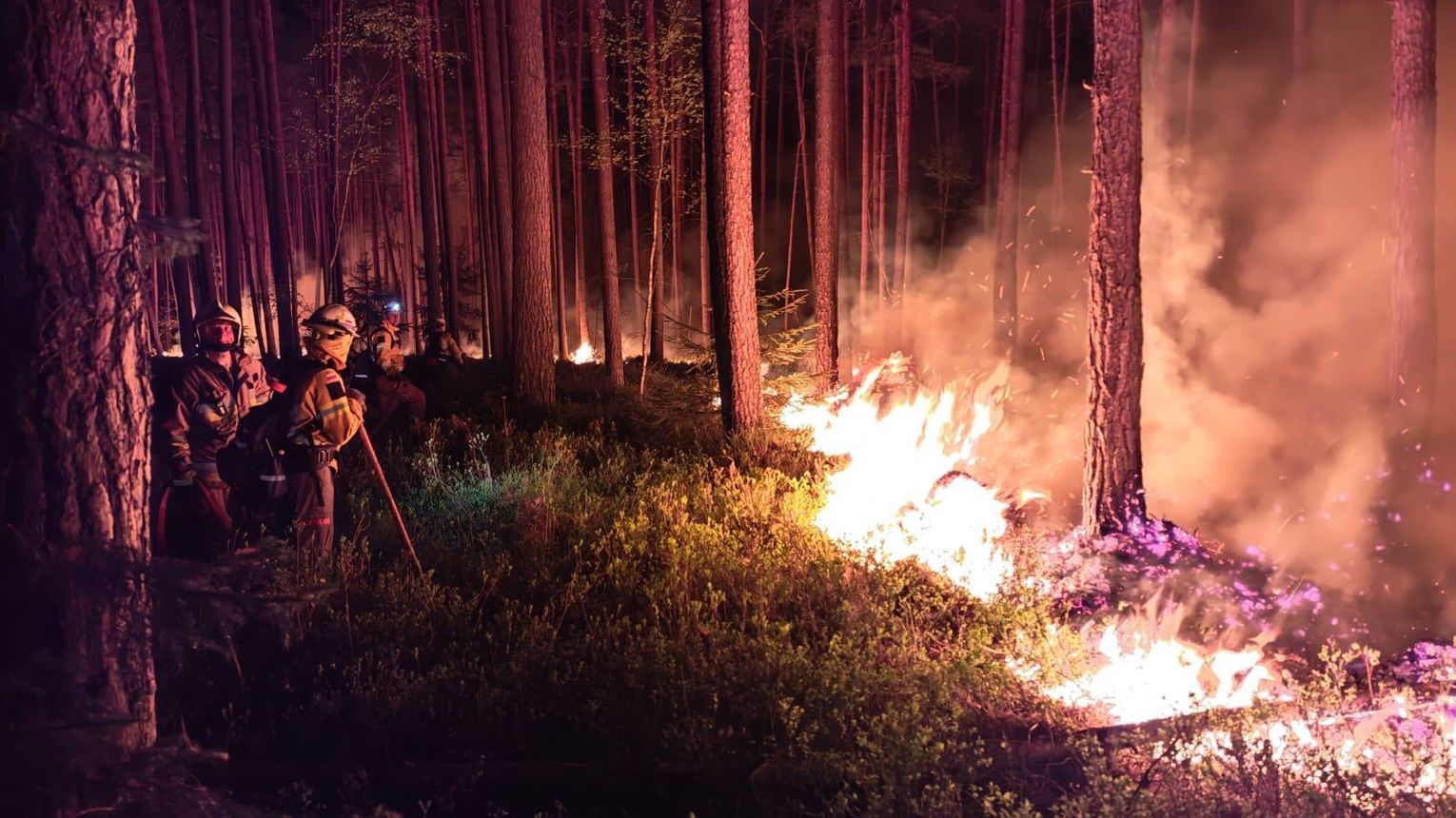 Mieleccy strażacy w akcji gaszenia pożaru lasu na Lubelszczyźnie