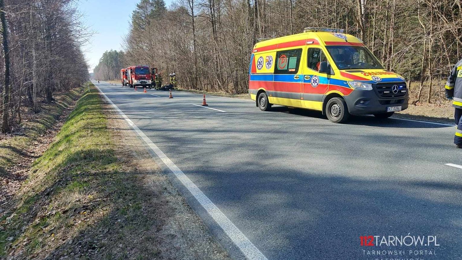 Motocyklista zderzył się z jeleniem pomiędzy Mielcem a Lisią Górą. Mężczyzna trafił do szpitala