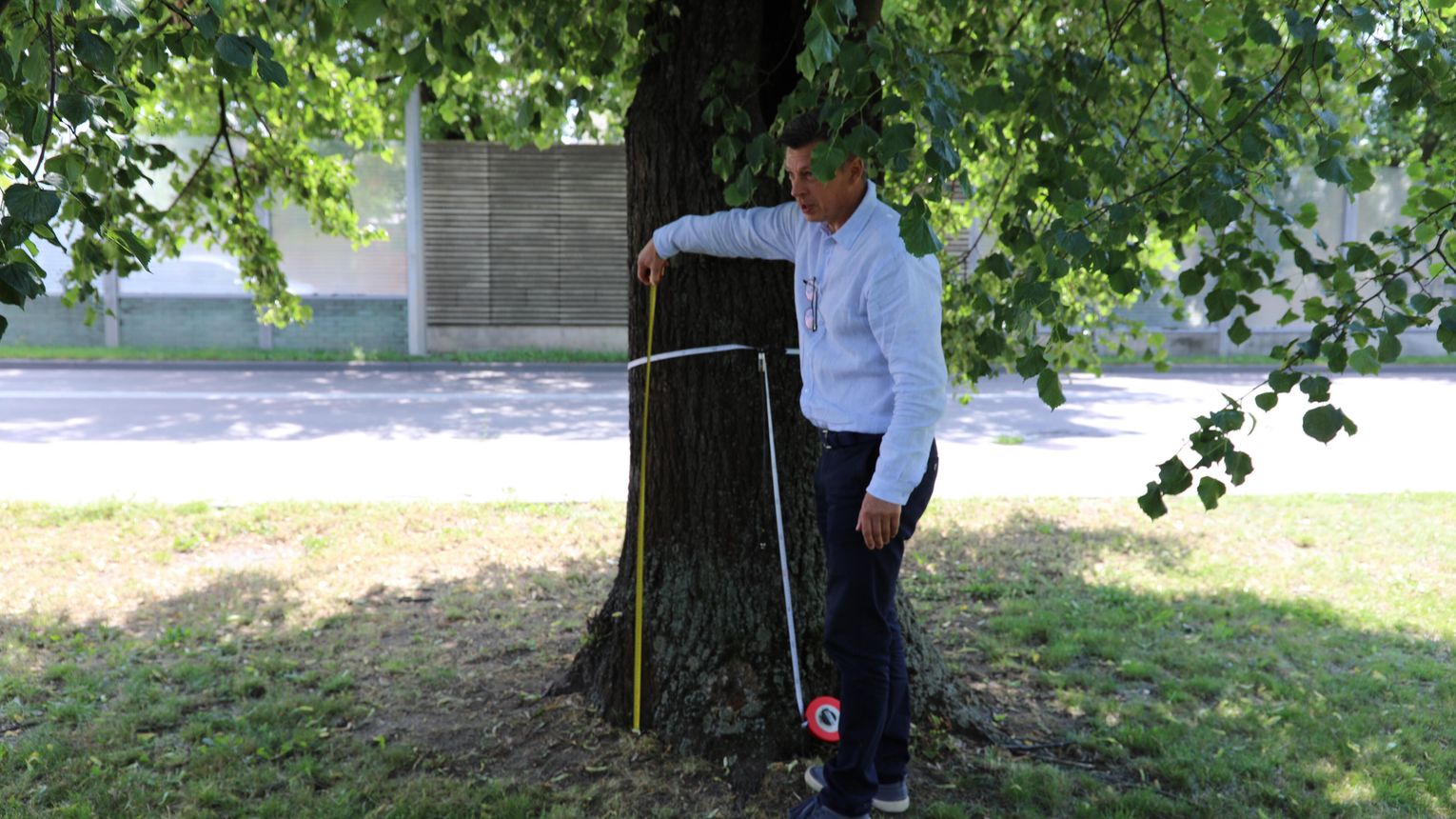 Nowoczesne technologie w ochronie przyrody. Powiat Mielecki zakupił tomograf akustyczny ArborSonic 3D