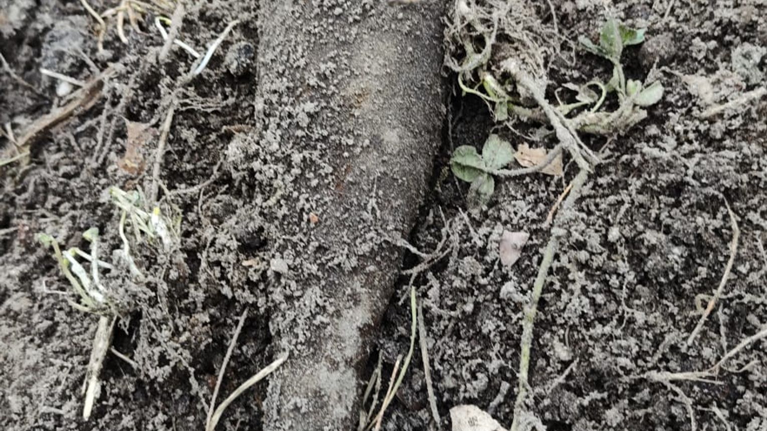 Pocisk radziecki odnaleziony w powiecie mieleckim