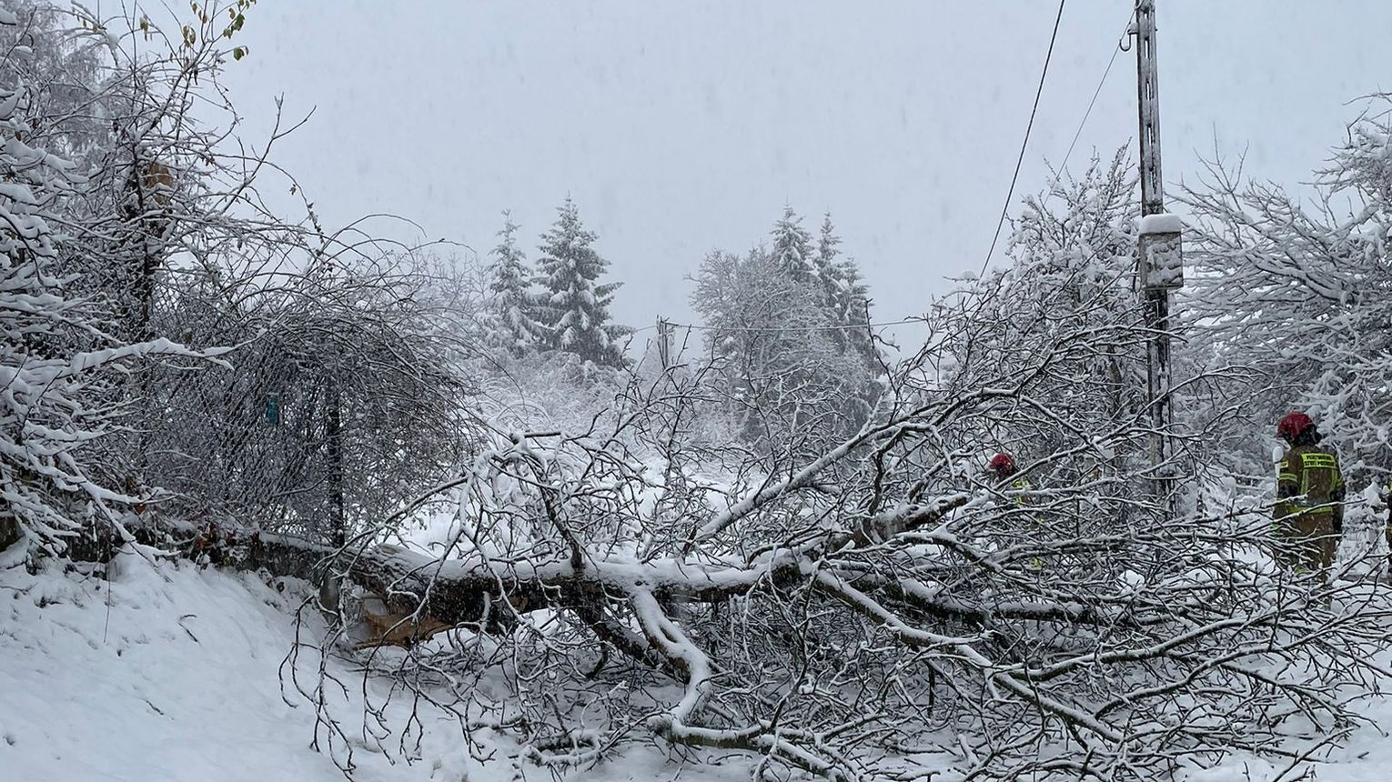 Podkarpacie bez prądu, nawet 109 tysięcy gospodarstw. Problemy na kolei, zmieniono trasę IC Wetlina
