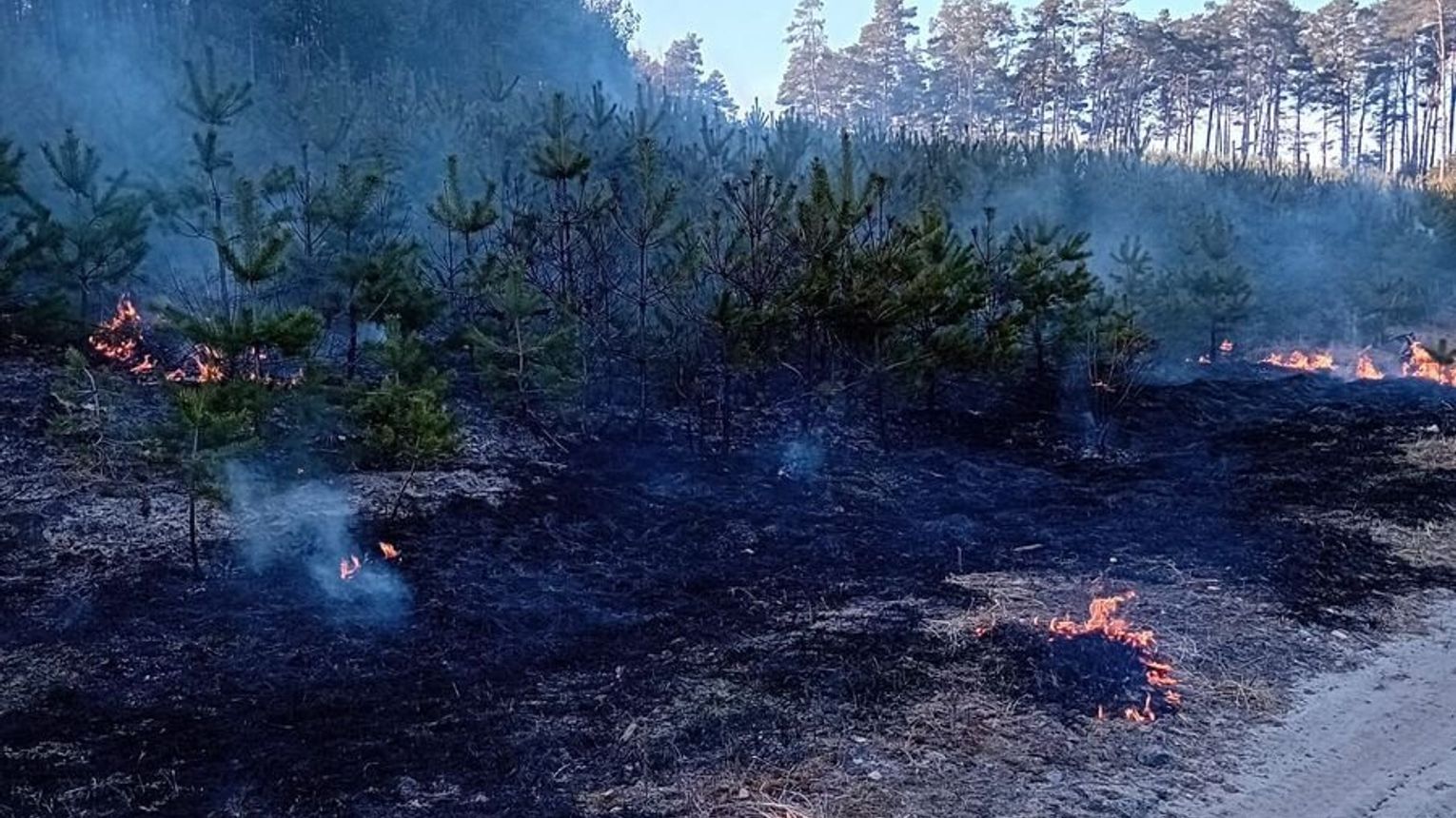Podpalacze z Podkarpacia ujęci. Grozi im 10 lat