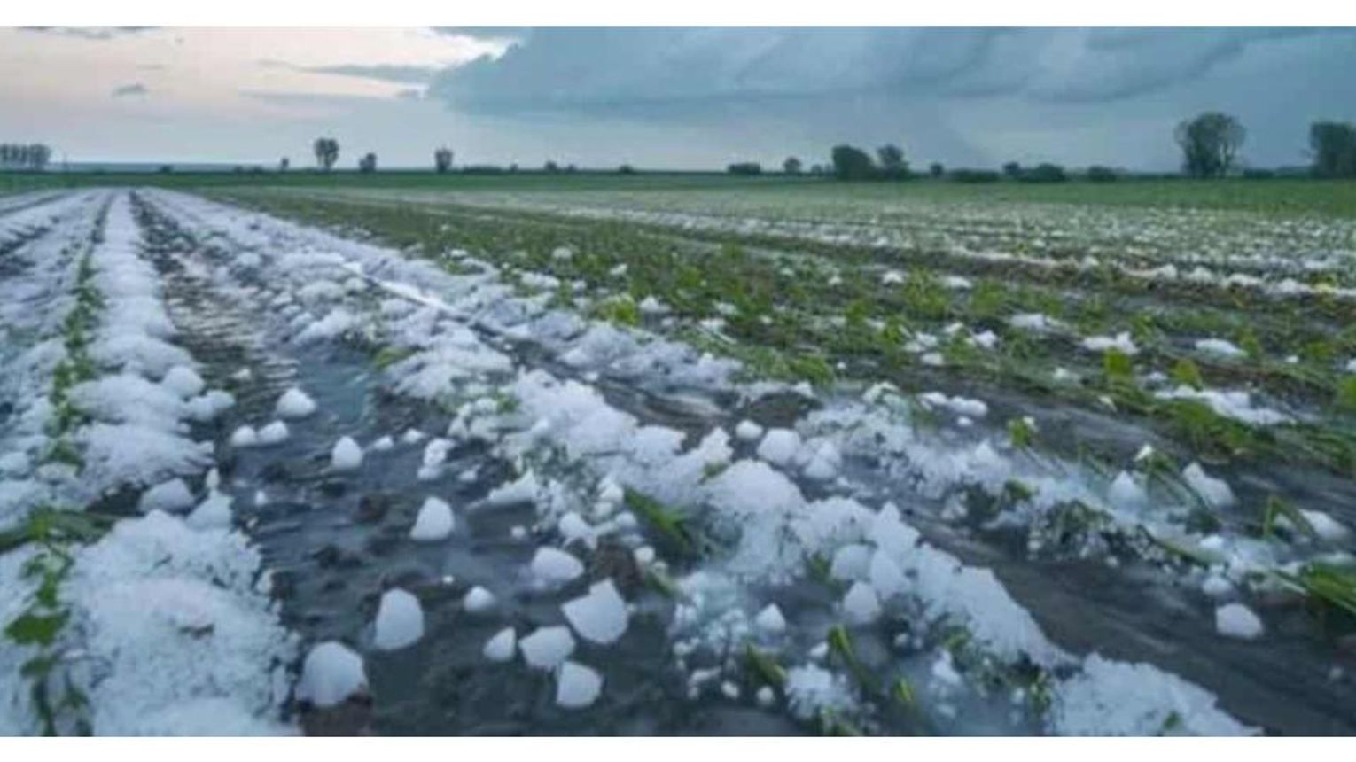 Pomoc dla rolników. Ruszył nabór w ramach pomocy publicznej.