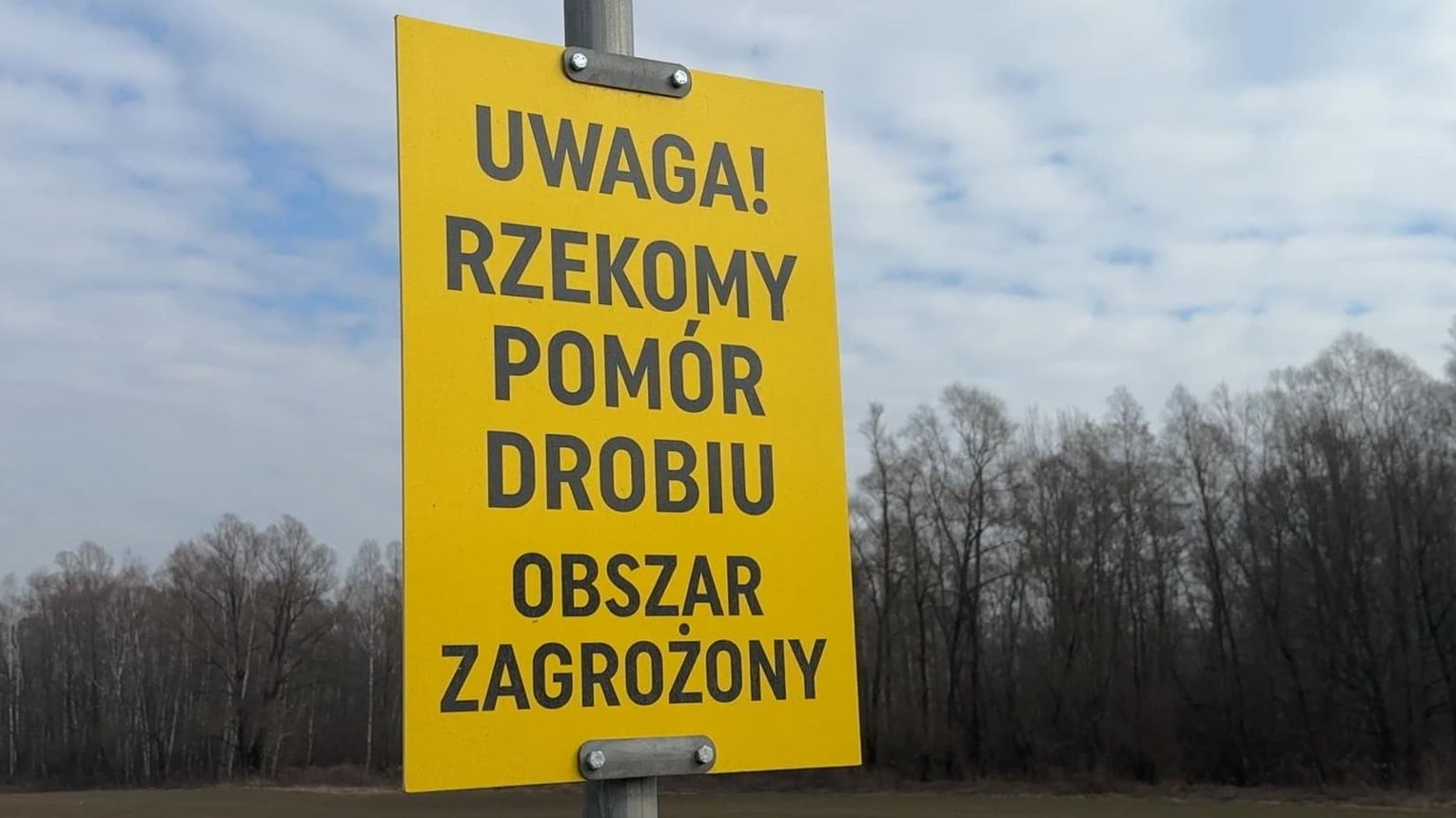 Rzekomy pomór drobiu na terenie powiatu