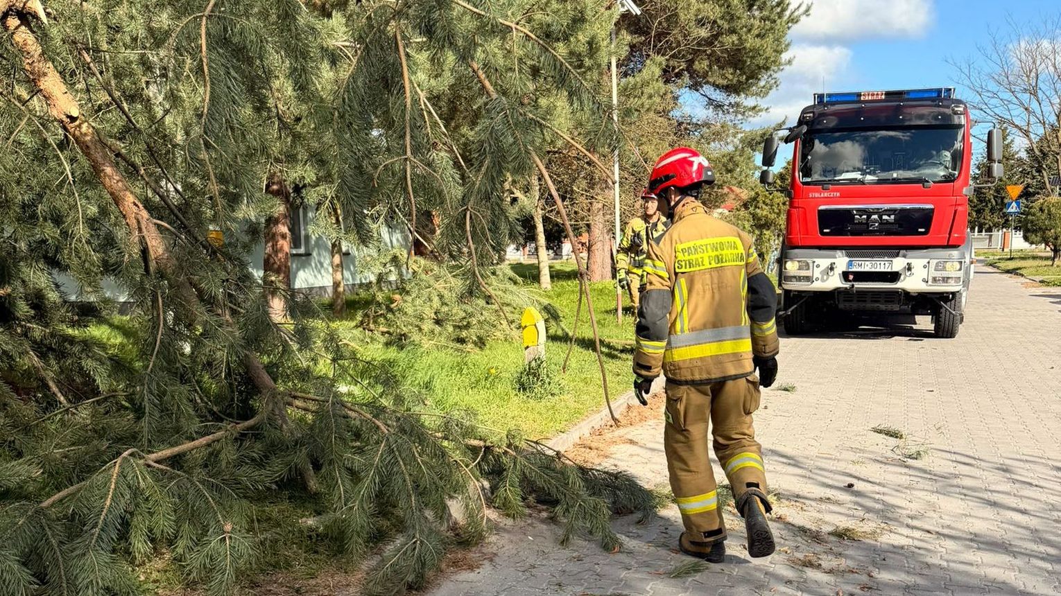 Silny wiatr nad Podkarpaciem. Strażacy interweniowali ponad 90 razy