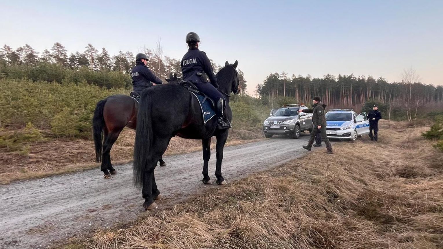 Wspólne działania służb w ramach akcji „STROISZ” – zapobieganie kradzieżom z terenów leśnych