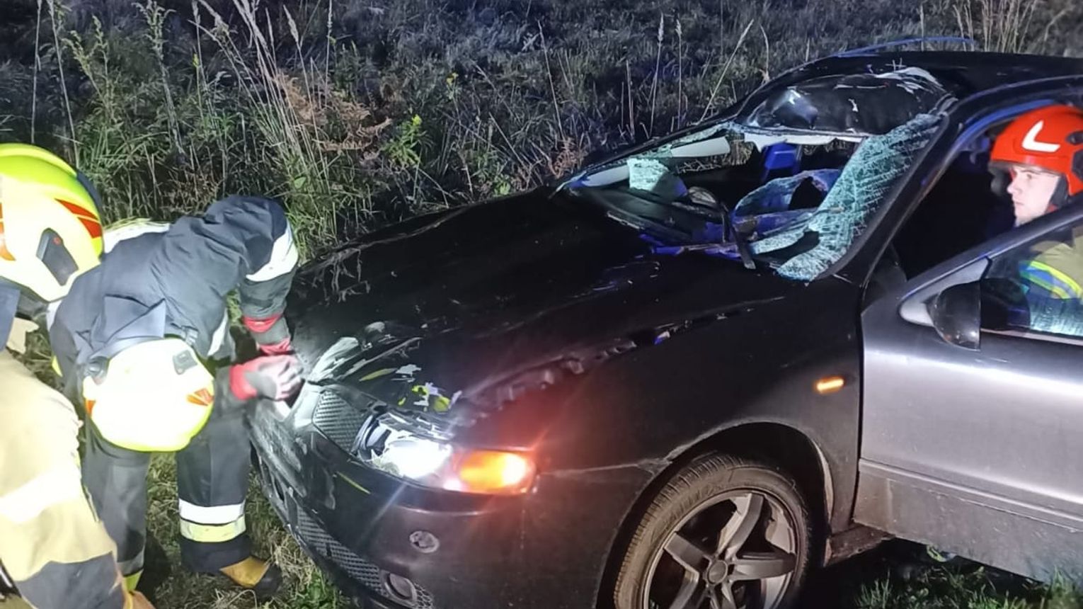 Wypadek w Smykowie. Samochód osobowy zderzył się z łosiem. Jedna osoba poszkodowana