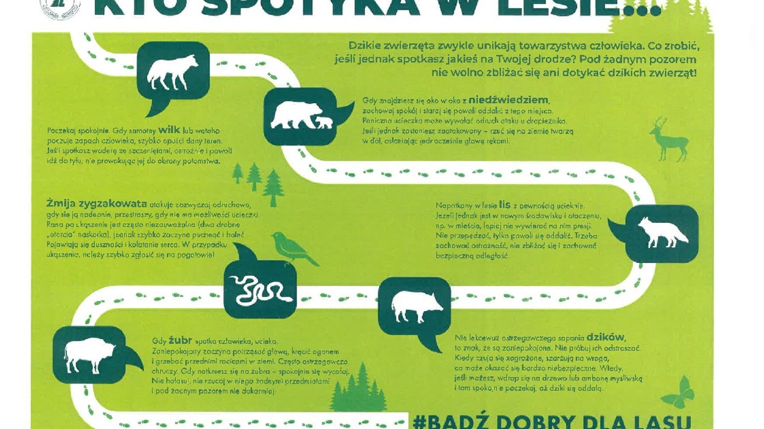 Zachowaj ostrożność. Sygnały mieszkańców o pojawieniu sięwilków
