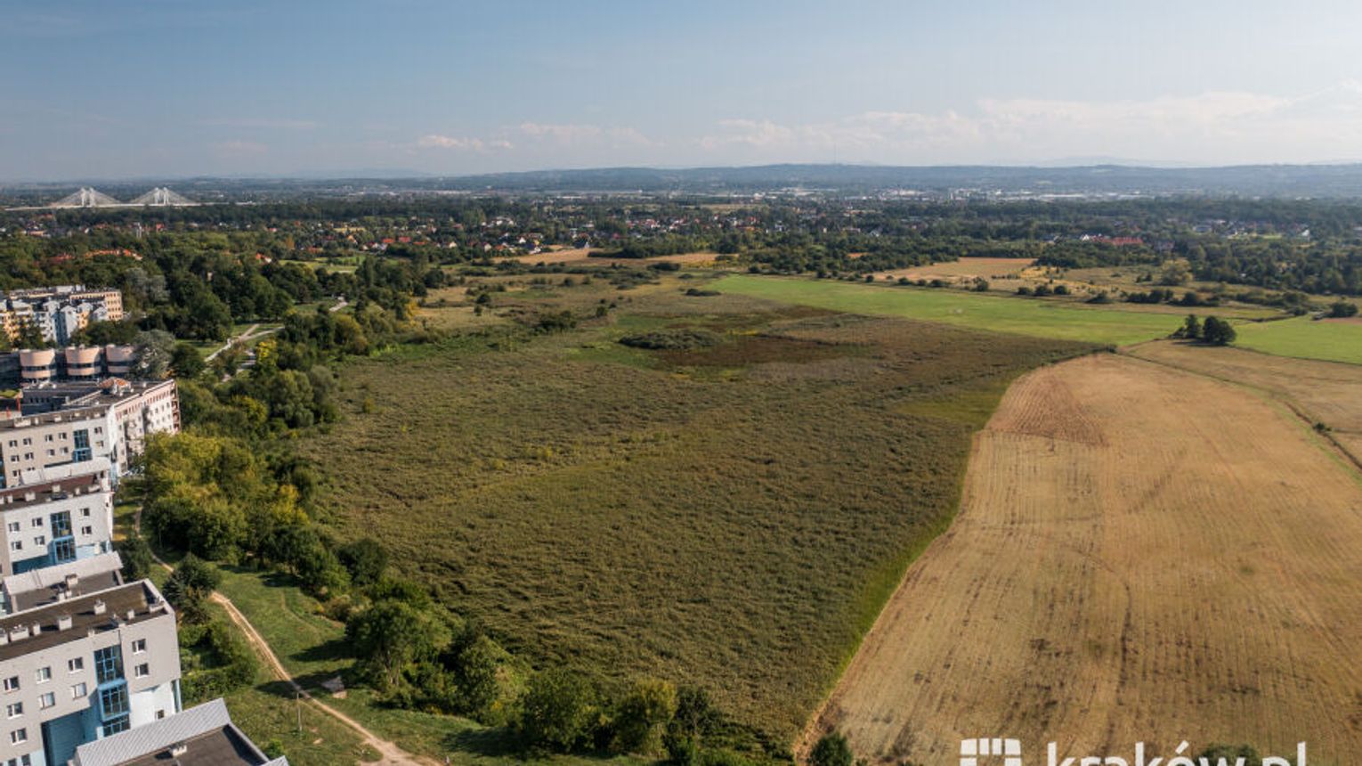 Zwierzęta wracają na miejskie łąki. Kraków zaprasza hodowców