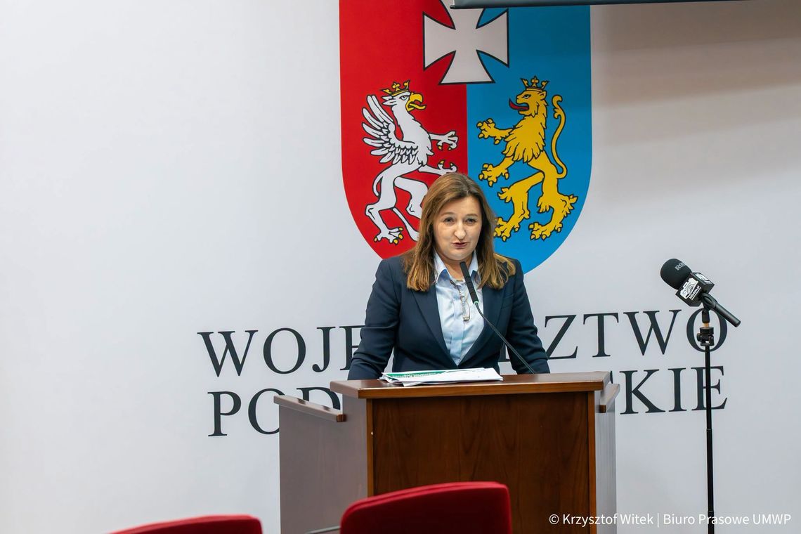 300 000 zł dla Gminy Radomyśl Wielki na rewitalizację poprzez kulturę 300 000 zł dla Gminy Radomyśl Wielki na rewitalizację poprzez kulturę