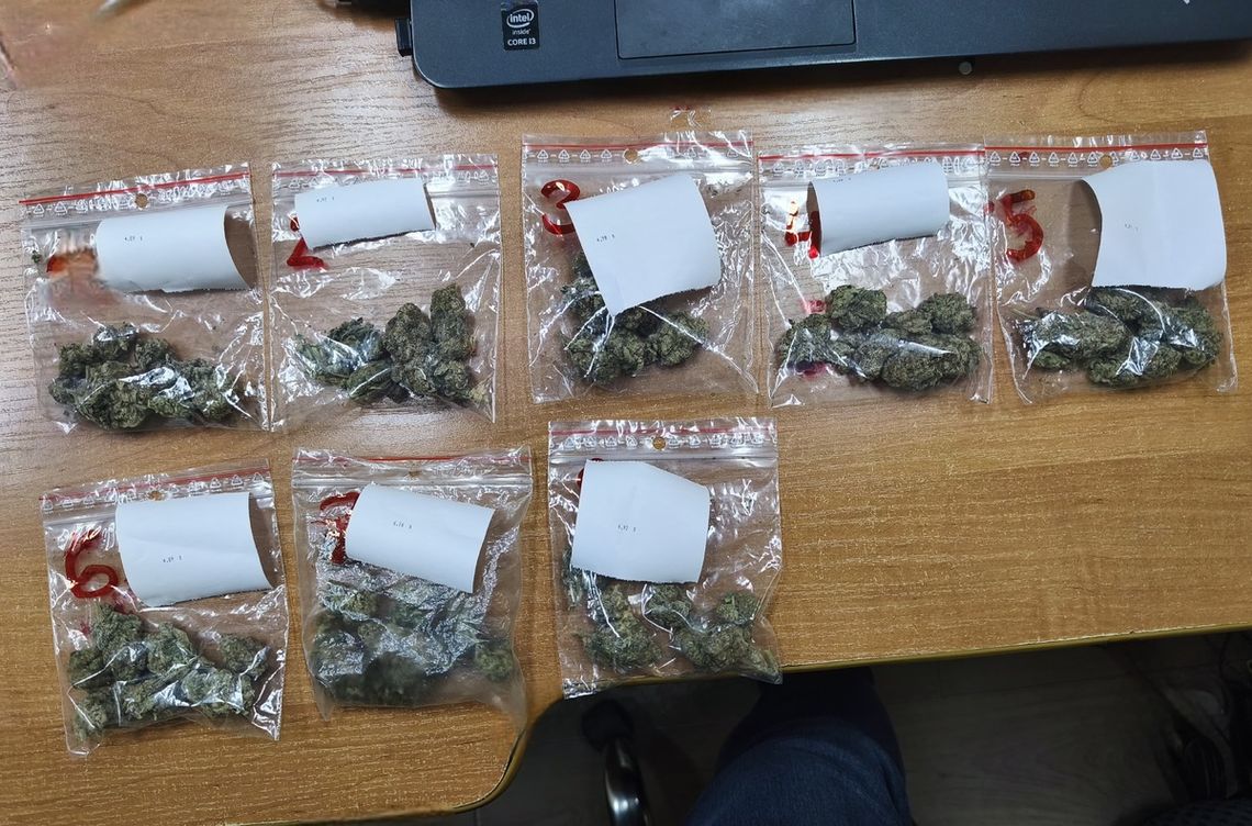 33-letni mielczanin odpowie za posiadanie narkotyków