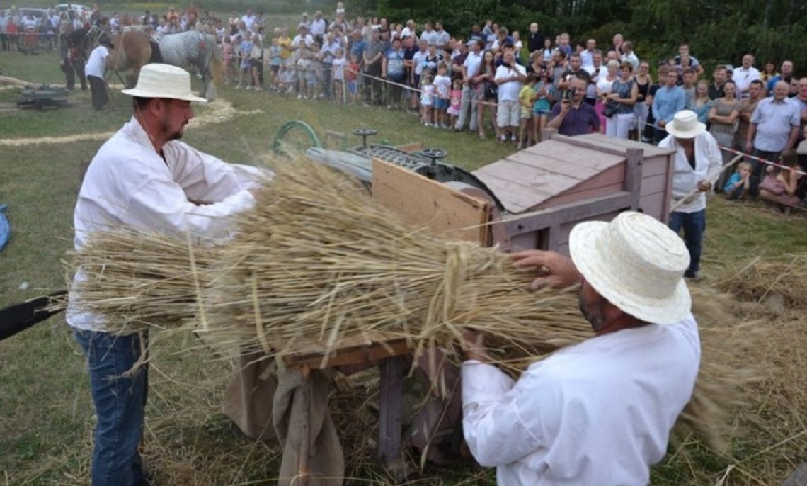 Dożynkowe pokazy w Gminie Radomyśl Wielki