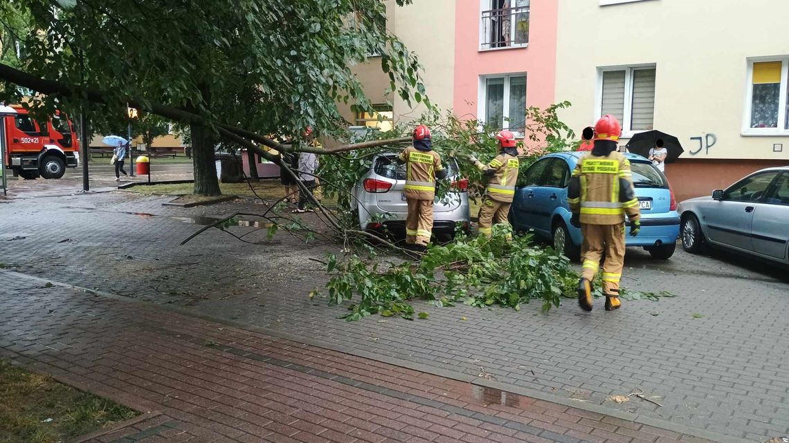 Drzewo spadło na samochód w Mielcu. Na jednym z kościołów w powiecie wiatr uszkodził poszycie dachowe