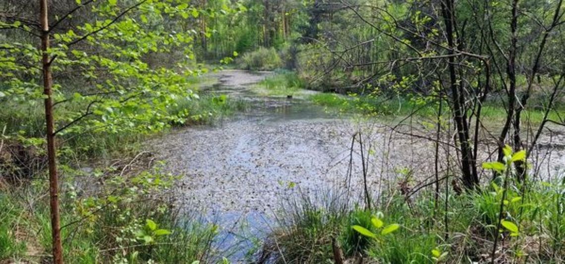 Dwa questy rowerowe powstaną bezpłatnie w powiecie mieleckim!