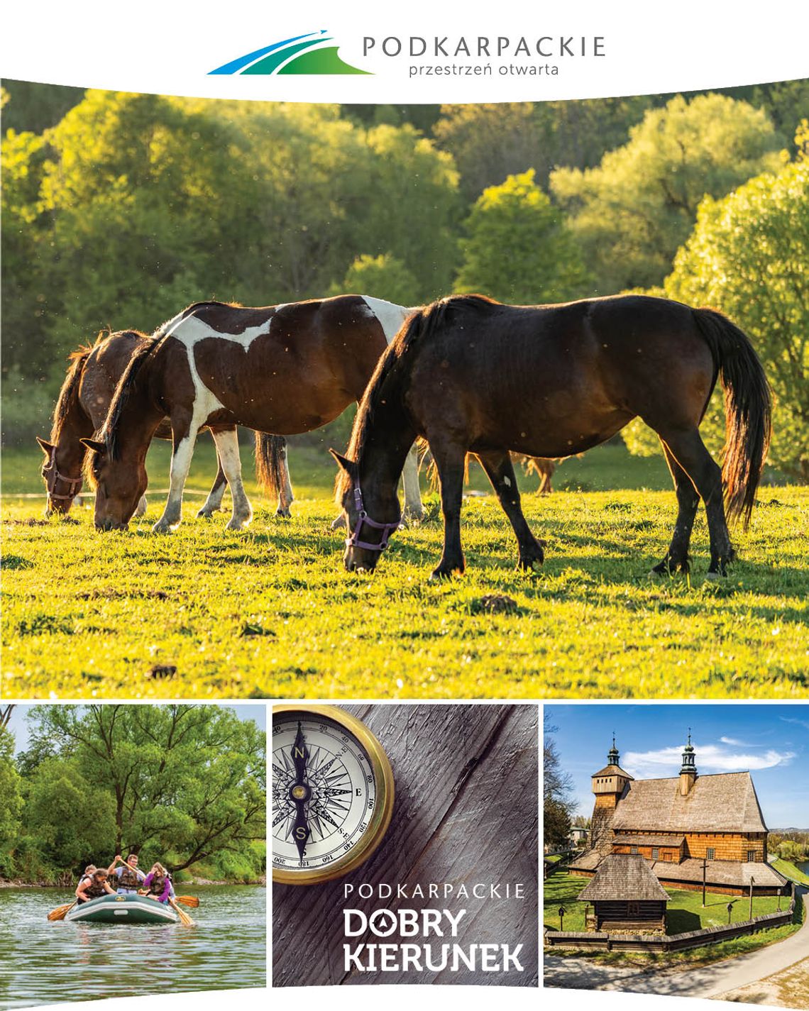 Już w niedzielę 24 sierpnia w Żarówce odbędzie się 16. Parada Konna. Już w niedzielę 24 sierpnia w Żarówce odbędzie się 16. Parada Konna.