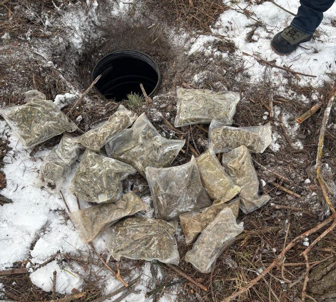 Kryminalni z Kolbuszowej zabezpieczyli blisko 3,5 kilograma narkotyków. 27-latek ukrył je w ziemnej skrytce