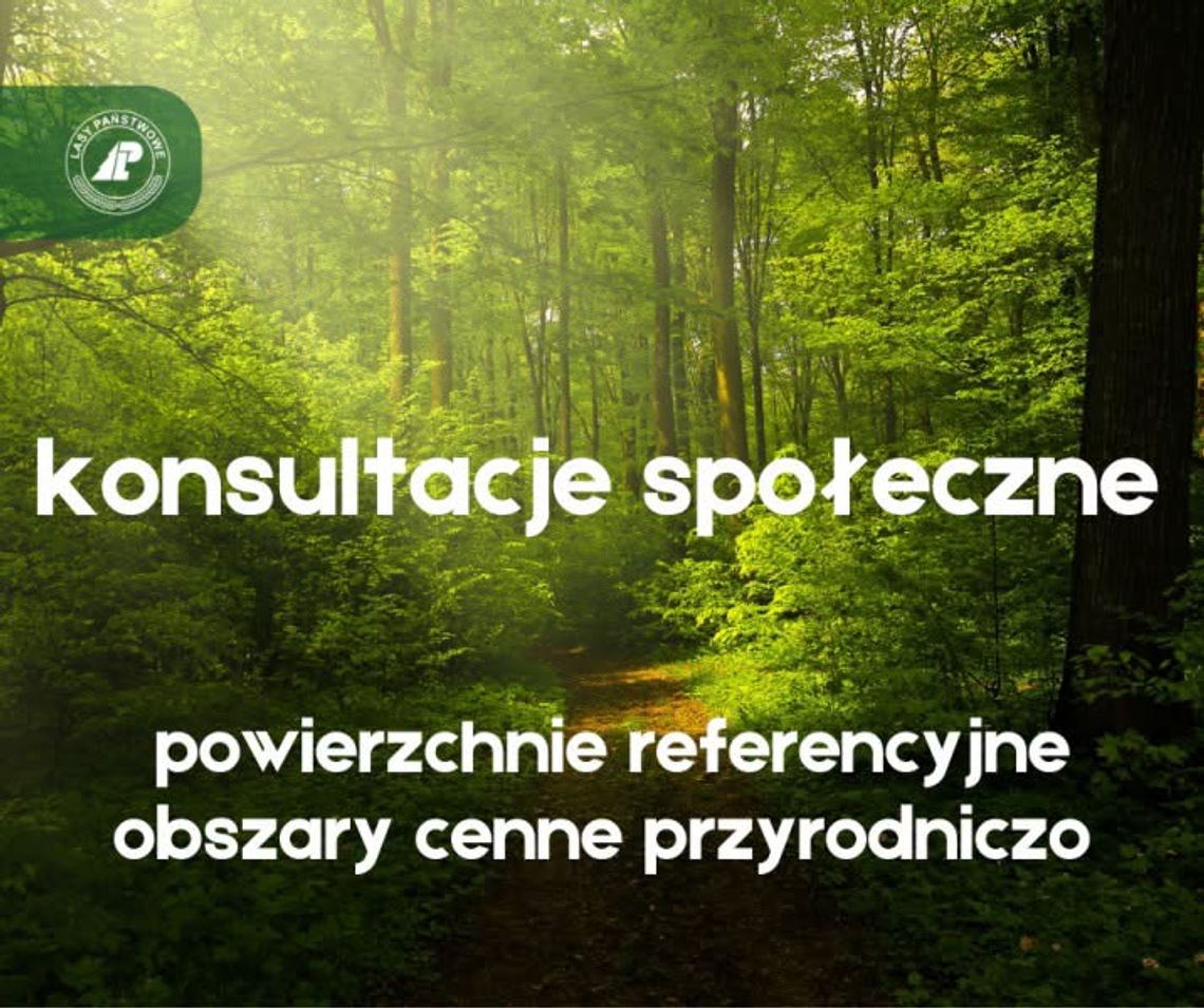 Lasy i nie tylko  tematem konsultacji w nadleśnictwie