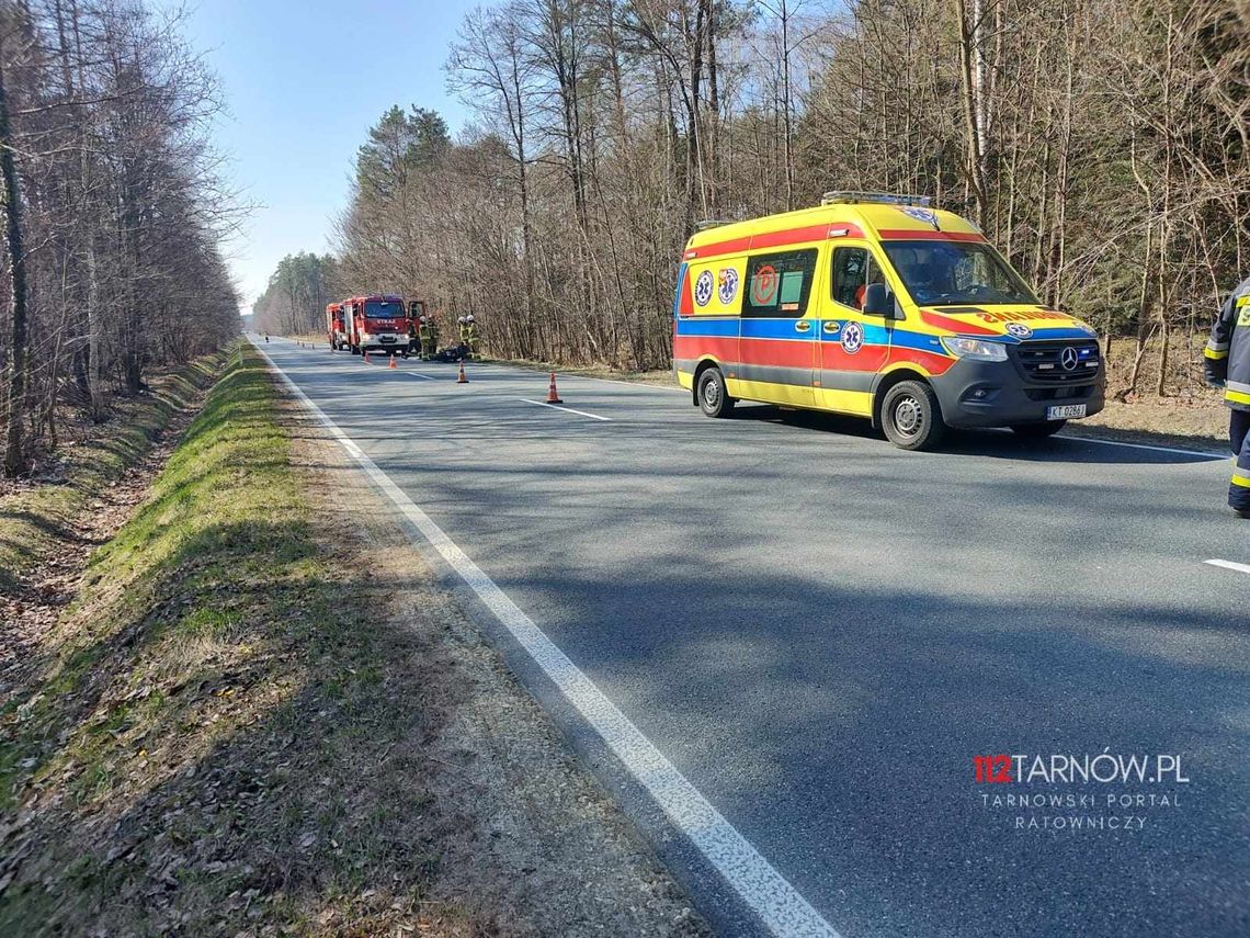 Motocyklista zderzył się z jeleniem pomiędzy Mielcem a Lisią Górą. Mężczyzna trafił do szpitala