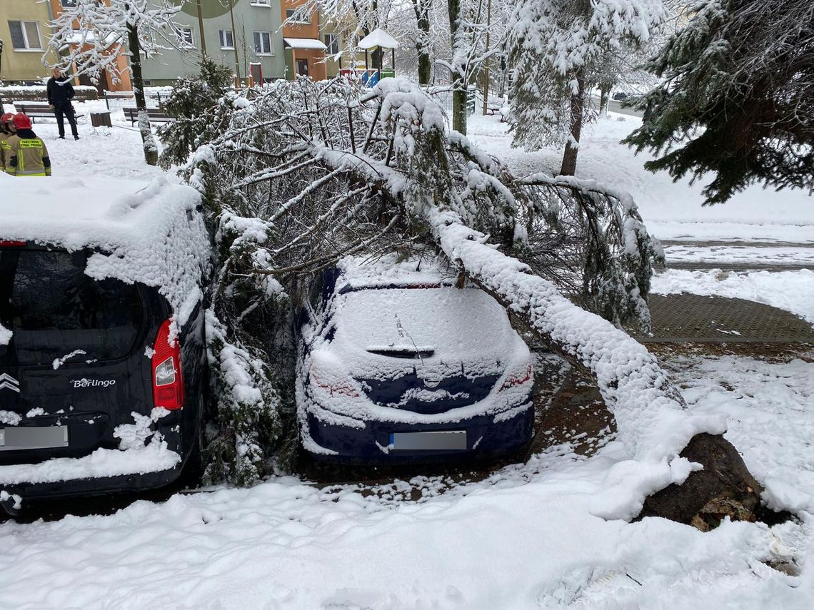 Niedziela dla strażaków z Podkarpacia to nieustająca walka ze skutkami śnieżycy Niedziela dla strażaków z Podkarpacia to nieustająca walka ze skutkami śnieżycy