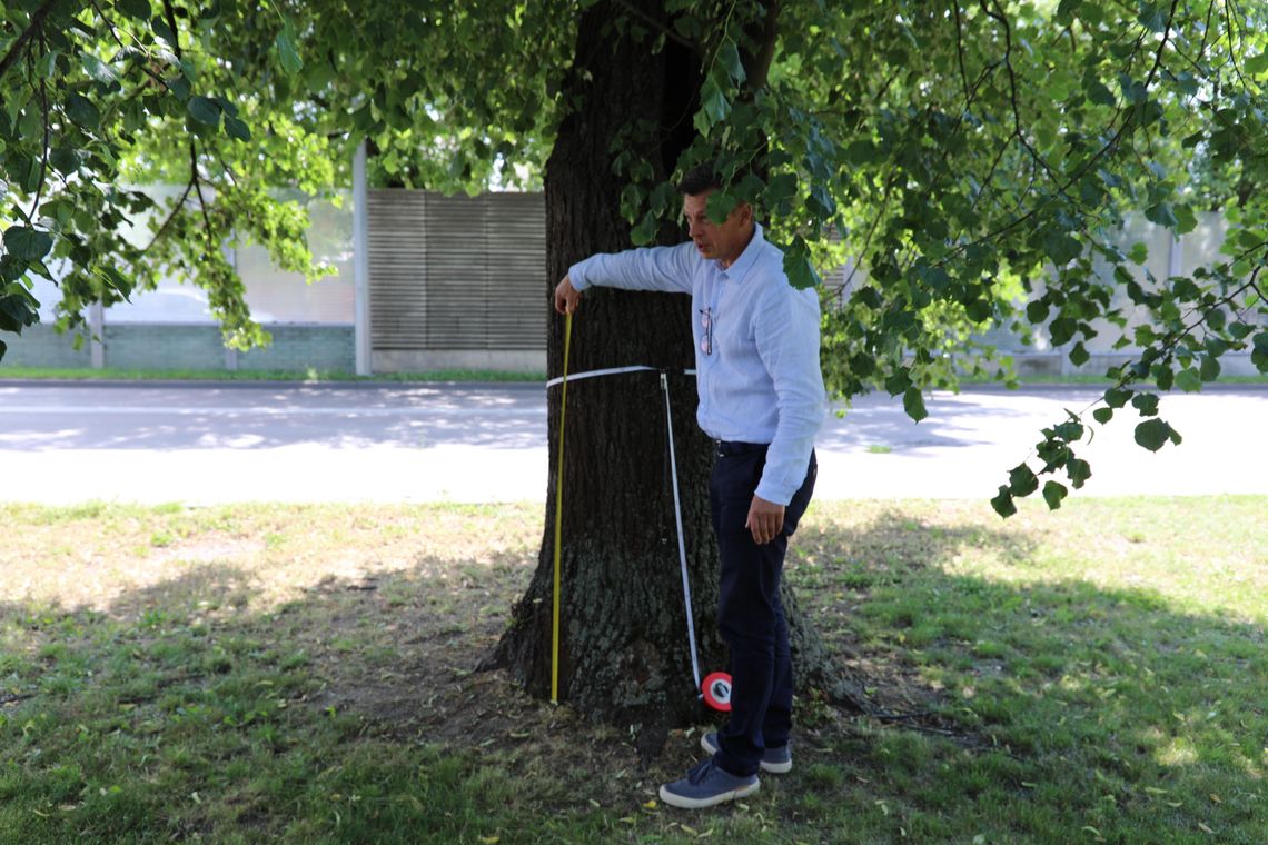 Nowoczesne technologie w ochronie przyrody. Powiat Mielecki zakupił tomograf akustyczny ArborSonic 3D Nowoczesne technologie w ochronie przyrody. Powiat Mielecki zakupił tomograf akustyczny ArborSonic 3D