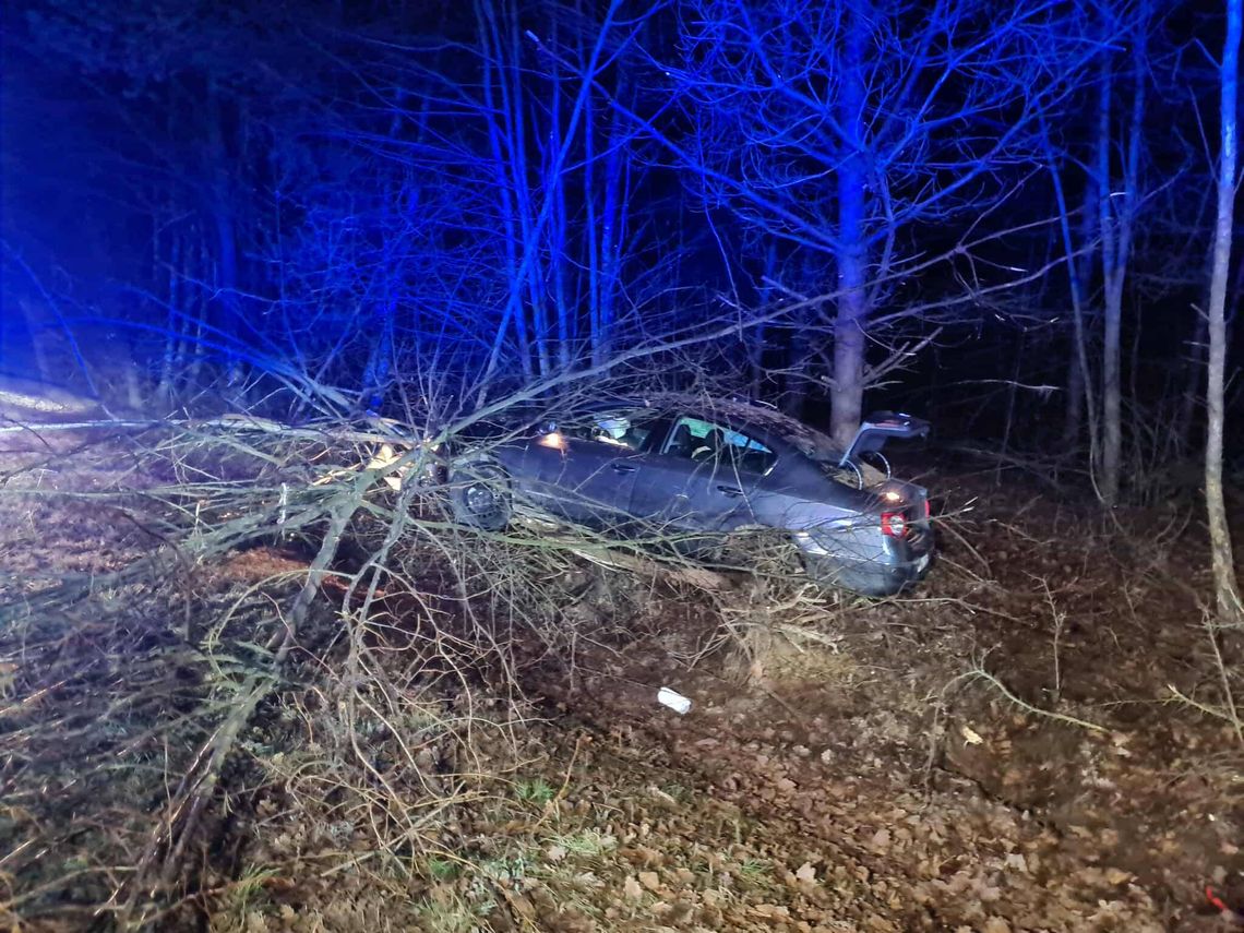 Pijany 22-latek wjechał do rowu w Cmolasie i uciekł. Chwilę później policjanci odnaleźli go w domu Pijany 22-latek wjechał do rowu w Cmolasie i uciekł. Chwilę później policjanci odnaleźli go w domu