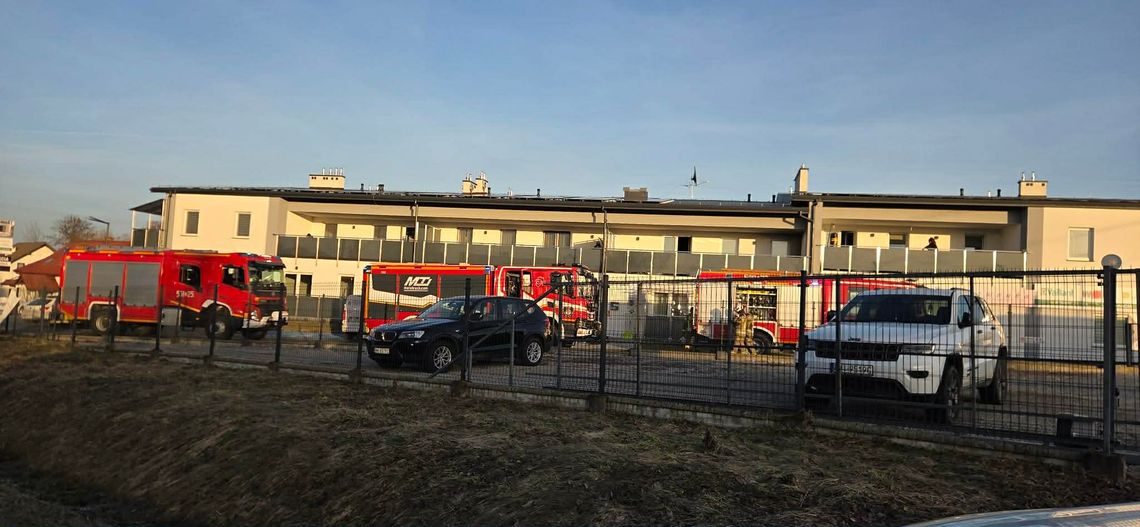 Plastikowy pojemnik z niedopałkami spowodował pożar w Radomyślu Wielkim Plastikowy pojemnik z niedopałkami spowodował pożar w Radomyślu Wielkim