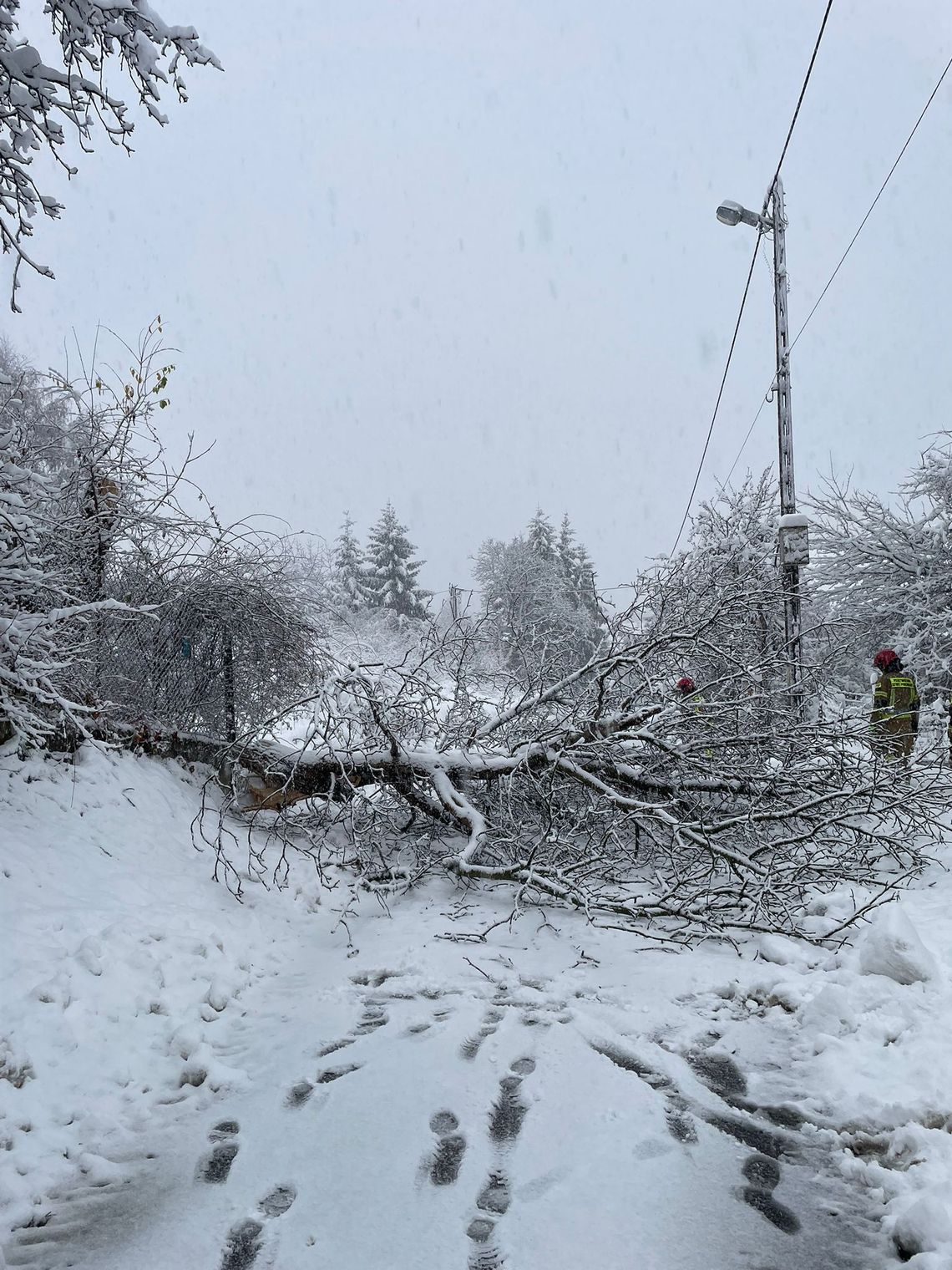 Podkarpacie bez prądu, nawet 109 tysięcy gospodarstw. Problemy na kolei, zmieniono trasę IC Wetlina Podkarpacie bez prądu, nawet 109 tysięcy gospodarstw. Problemy na kolei, zmieniono trasę IC Wetlina